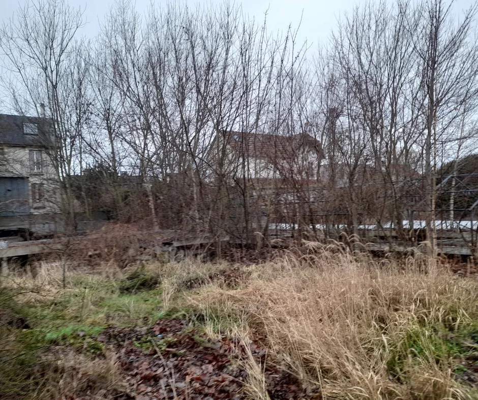 Le terrain à l'abandon découvert à Mitry-Mory, avant travaux